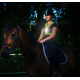 Bee sport Led Harness USB, Ligthgreen